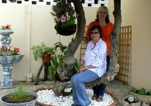 Bietoubossers plant vir n vale